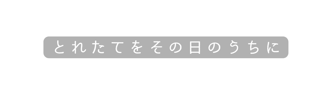 とれたてをその日のうちに